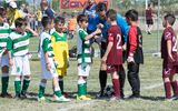 002_SAL_dsc_0370