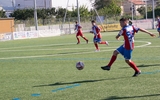 004_SCO_dsc_0687