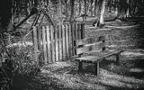 Dsc_0044_hdr